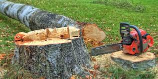 Best Firewood Processing and Delivery  in Atco, NJ