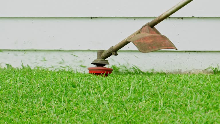 Best Root Management and Removal  in Atco, NJ