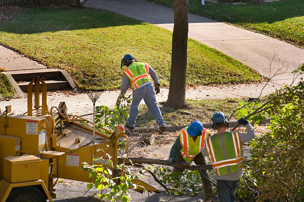 Organic Lawn Care Solutions in Atco, NJ