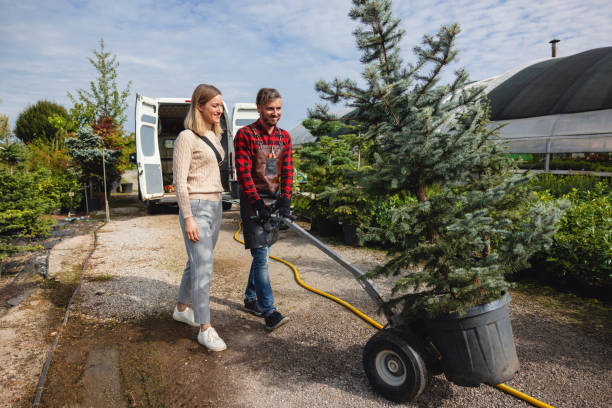 Best Tree Trimming and Pruning  in Atco, NJ