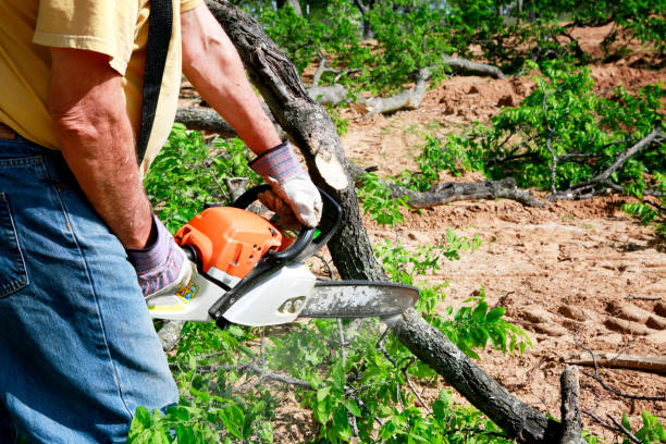 Best Lawn Maintenance Plans  in Atco, NJ